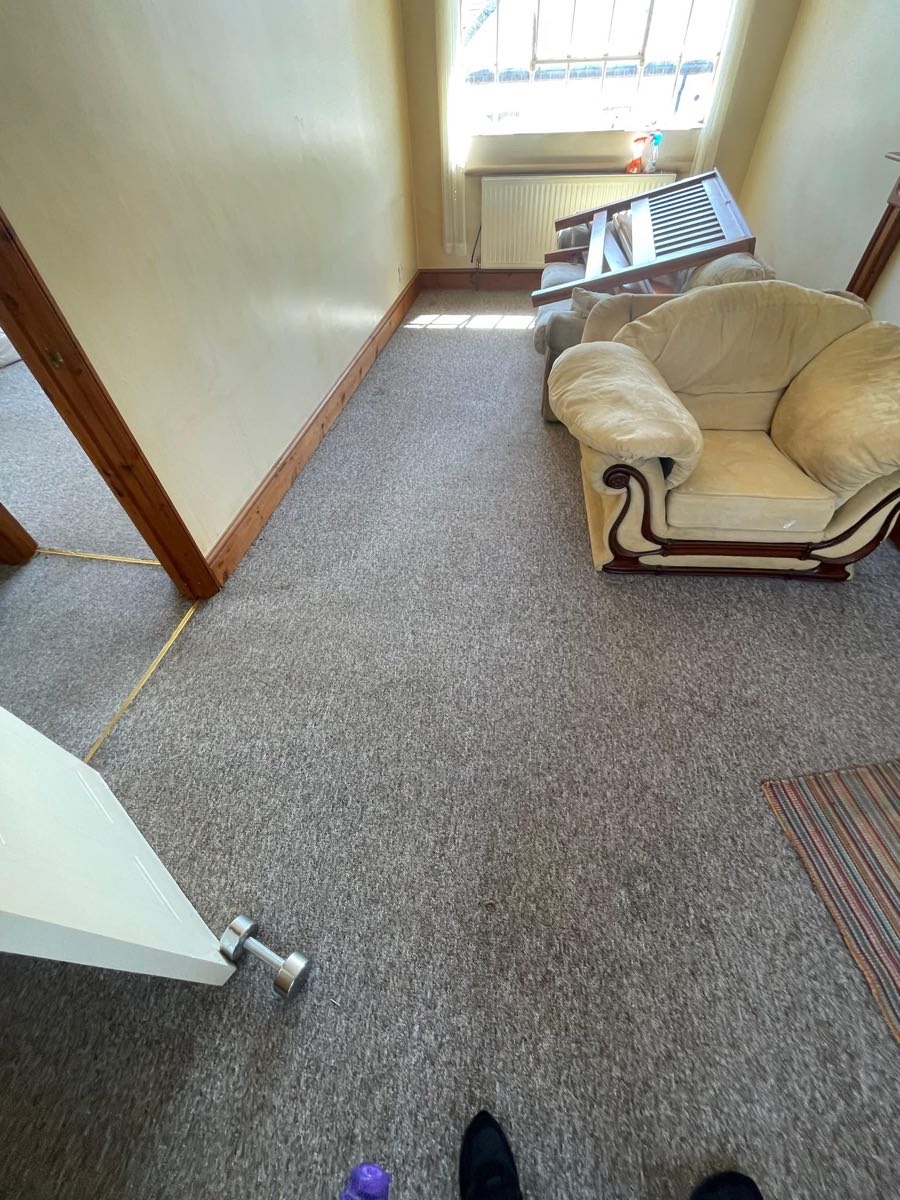 A carpet after cleaning in an empty front room
