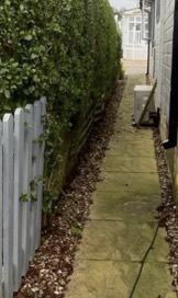 A narrow side path before cleaning, green and slippery