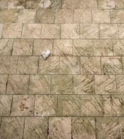 Sandstone paving before cleaning, green algae across the slabs