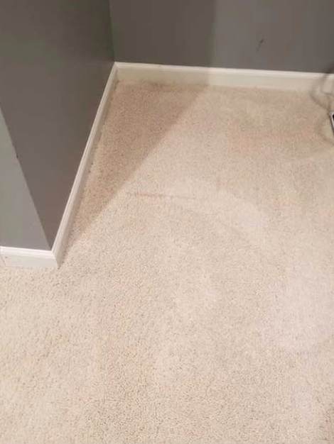 The same bedroom corner after cleaning, carpet back to an even cream