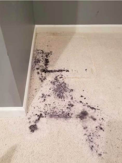 A cream bedroom carpet before cleaning, heavy dark staining spread across the corner