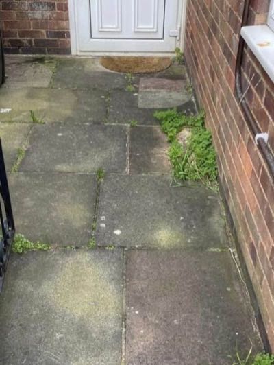 A doorstep and side path before cleaning, weeds growing out of the joints