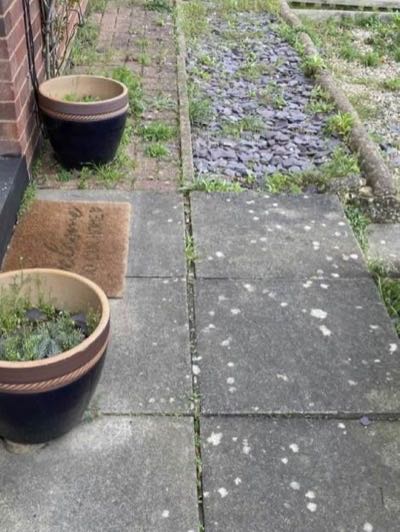 A front path before cleaning, white lichen spotting across the slabs