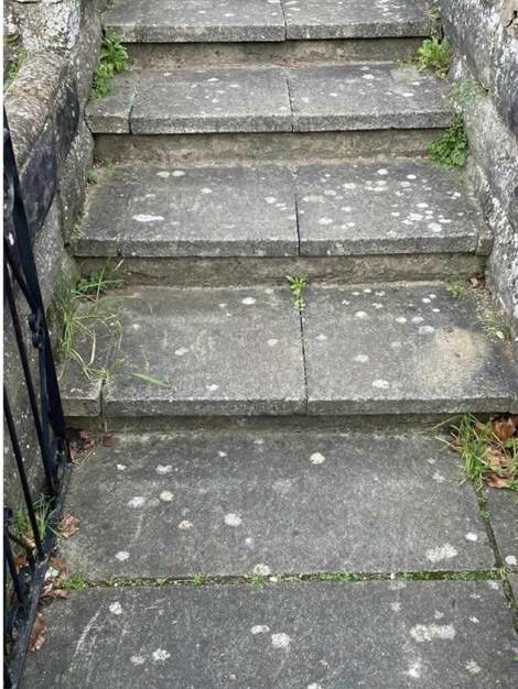 Stone steps before cleaning, dark with lichen and moss in the joints