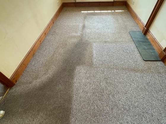 A cleaned carpet across a full room, vacuum lines still showing