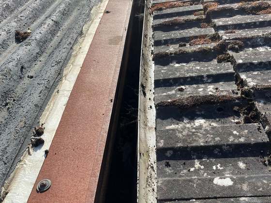 A gutter run alongside a mossy tiled roof, silt and debris in the channel